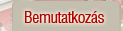 Bemutatkoz&aacute;s